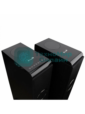 Колонки ELTRONIC (30-49 черный) HOME SOUND - 10 