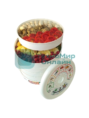 Сушилка для овощей и фруктов Renova DVN31-500/5(R)