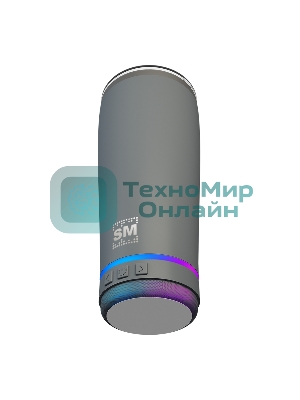 Термокружка с портативной колонкой Soundmax SM-TC001 серый