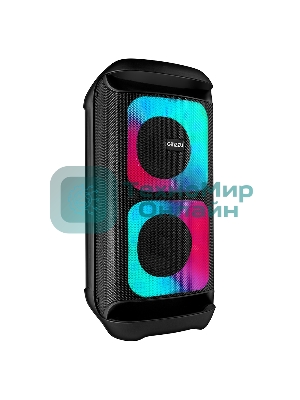 Портативная колонка GINZZU GM-113
