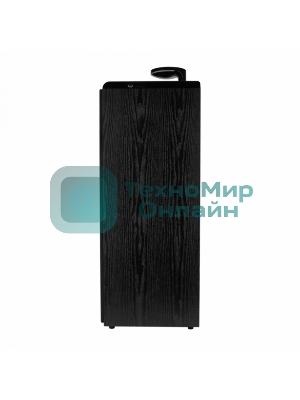 Колонки ELTRONIC (30-49 черный) HOME SOUND - 10 