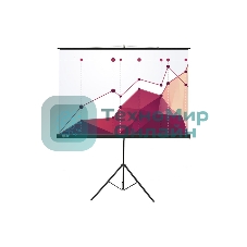 Экран для проектора Cactus CS-PST-180x180, 100 