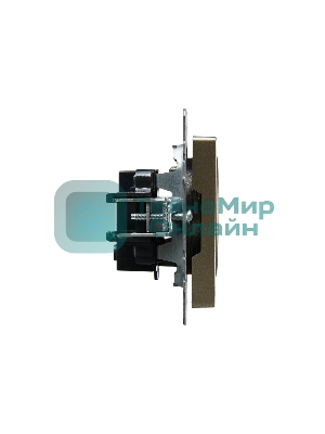 Розетка 1-местная IEK BRITE РС10-1-0-БрШ (BR-R10-10-K37) 10А, без заземления, без защитных шторок, шампань