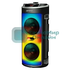 Акустическая система Midi GM-231 TWS/BT/USB/TF/FM/ДУ черный