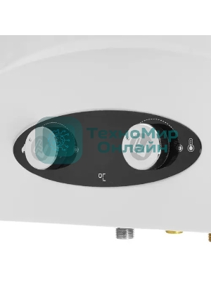 Колонка газовая Thermex G 20 D Eco белый