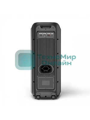 Портативная Bluetooth-колонка BQ PBS2010 черный 100 Вт