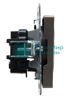 Розетка 1-местная IEK BRITE РС10-1-0-БрС без заземления, без защитных шторок, 10А, сталь