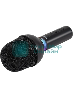 Микрофон беспроводной Hyundai H-MIC101 черный
