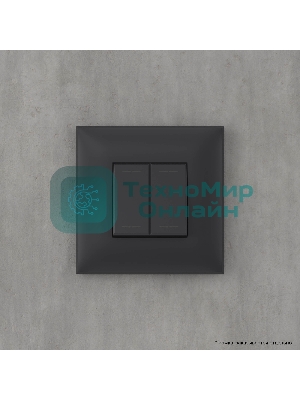 Инвертор двухклавишный DKC Avanti 4412124 