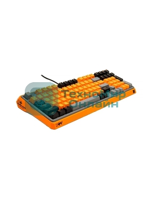 Клавиатура Rapoo ESK750-98 проводная, USB Type-A, серый/оранжевый