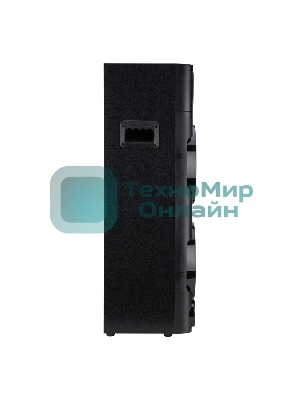 Колонка Eltronic 10