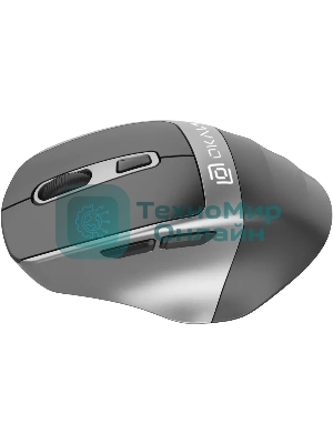 Мышь беспроводная Oklick 516MW черный/серебристый, 1600 dpi, радиоканал, Bluetooth, USB, кнопки - 6