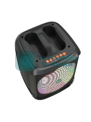 Колонка портативная MORE CHOICE BS65 черный