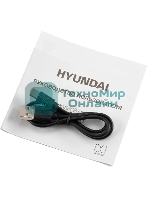 Микрофон беспроводной Hyundai H-MIC100 черный