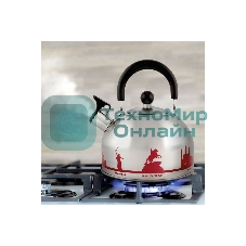 Чайник из нерж. стали MALLONY ГОРОДА РОССИИ со свистком 2,5 л, с рисунком, меняющим цвет