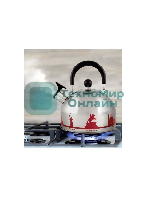 Чайник из нерж. стали MALLONY ГОРОДА РОССИИ со свистком 2,5 л, с рисунком, меняющим цвет