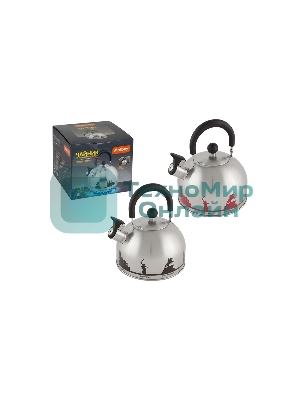 Чайник из нерж. стали MALLONY ГОРОДА РОССИИ со свистком 2,5 л, с рисунком, меняющим цвет