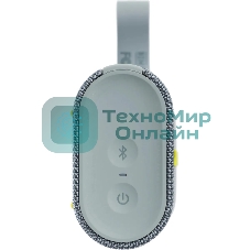 Колонка портативная Xiaomi Sound Pocket S28H-GL серый 5W 1.0 BT 25м 1000mAh (QBH4378GL)