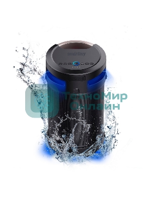 Портативная акустика Smartbuy Z1, 4.1