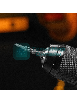 Набор бит Denzel двухстор., PH2-PH2х45 мм, сталь S2, 10 шт.