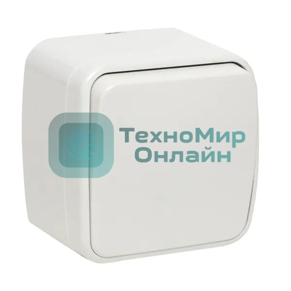 Выключатель EKF Basic Минск EGV10-021-10 1-клавишный ОП 10А белый