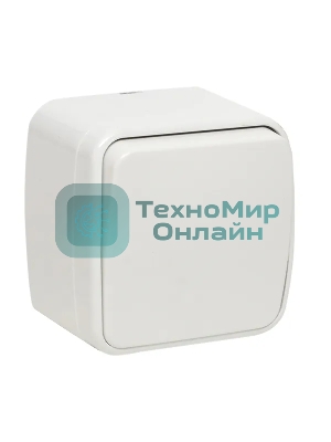 Выключатель EKF Basic Минск EGV10-021-10 1-клавишный ОП 10А белый