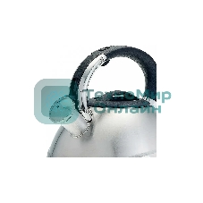 Чайник для плиты ALPENKOK AK-531 3 л