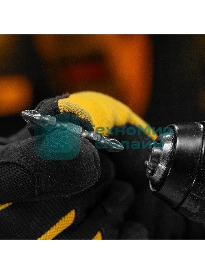 Набор бит Denzel двухстор., PH2-PH2х45 мм, сталь S2, 10 шт.