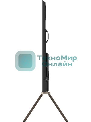 Телевизор Skyworth 100