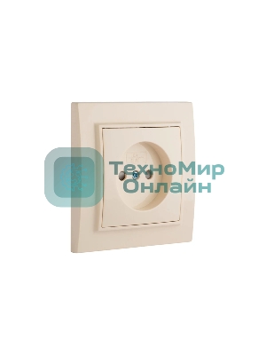 Розетка EKF Минск ERR10-022-200 1-м СП 10А IP20 без заземления, с защитными шторками, бежевый