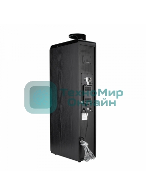 Колонки ELTRONIC (30-49 черный) HOME SOUND - 10 