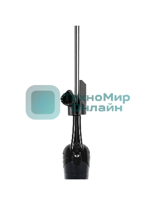 Пылесос вертикальный BBK BV2902 черный, питание от сети, 170 Вт, уборка сухая, пылесборник 0.8 л