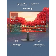 Монитор POLAR P24F12M