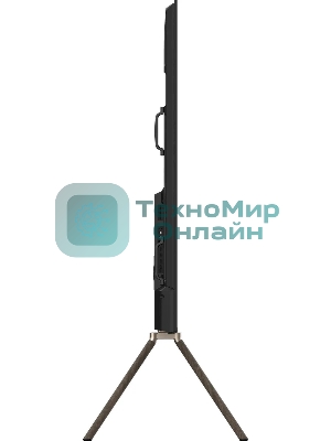 Телевизор Skyworth 100