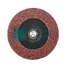 Круг лепестковый торцевой Edge by Patriot 180 ммx22,23 ммxP80