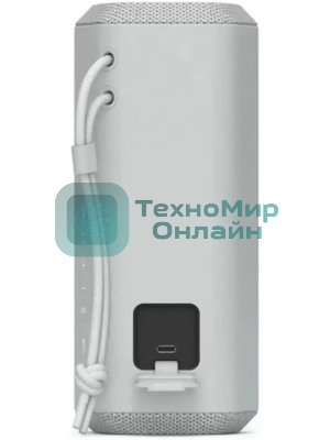 Портативная колонка Sony SRS-XE200 серый 10W 1.0 BT (SRS-XE200 GREY)