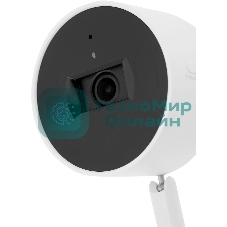 Камера видеонаблюдения умная с искусственным интеллектом TP-Link Tapo C125, 2K QHD (2560 × 1440), Wi-Fi (2,4 ГГц)