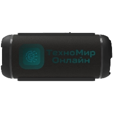 Портативная колонка Ritmix SP-320B черный