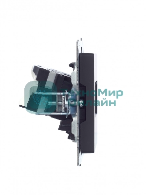 Розетка компьютерная двойная IEK BRITE РК10-2-БрГ RJ45 кат.5E графит