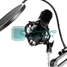 Микрофон проводной Оклик SM-600G 2.5м черный