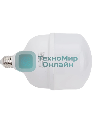 Лампа светодиодная Ergolux 14329 LED-HW-50W-E40-6K PRO 50Вт E27/E40 6500К 150-260В