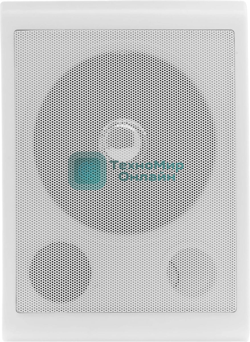 Громкоговоритель Tantos TSo-SW6a настенный 6Вт белый (00-00025704)