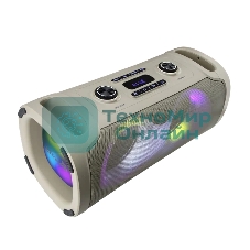 Акустическая колонка Eltronic DANCE BOX 900 - колонка 06