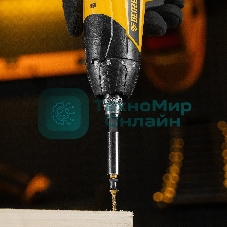 Набор бит Denzel PZ1х25, сталь S2, шестигранный профиль, 10 шт.