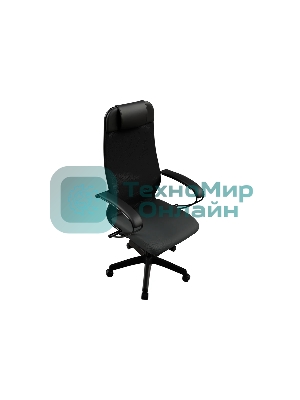 Кресло компьютерное ErgoLife Set 11/подл.130/осн. Sit 001, черный 13E.12.1.222 z13E.12.1.222