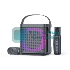 Переносная караоке система TRS2406 iconBIT K702B Колонка 10Вт, 2 микрофона Bluetooth, подсвктка, с аккумулятор в колонке 1500mAh и микрофонах, 16*12*16.7 CM, черный