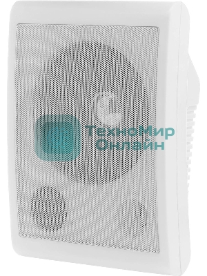 Громкоговоритель Tantos TSo-SW6a настенный 6Вт белый (00-00025704)