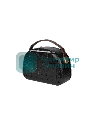 Радиоприемник Ritmix RPR-040 черный