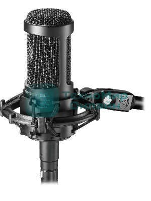Микрофон проводной Audio-Technica AT2035 черный/черный