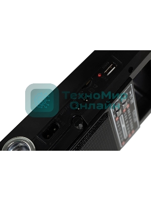 Радиоприемник портативный Сигнал Vikend Traveler черный USB SD/MMC